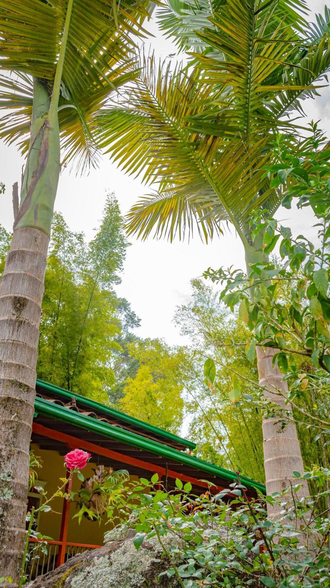 Kantarrana Casa De Campo Jardín Eksteriør bilde