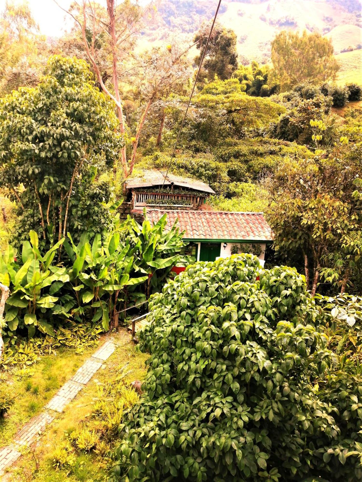 Kantarrana Casa De Campo Jardín Eksteriør bilde