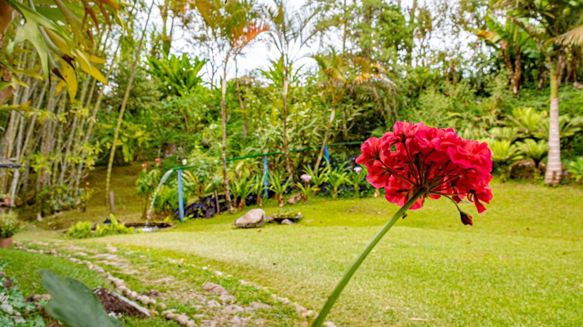 Kantarrana Casa De Campo Jardín Eksteriør bilde