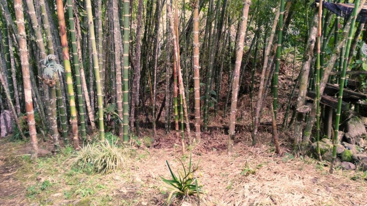 Kantarrana Casa De Campo Jardín Eksteriør bilde